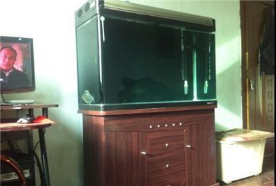 出售博宇牌水族箱-撫順望花區(qū)其他小寵