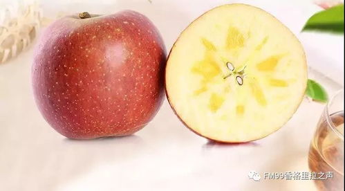 云南 十大名品 這些上榜了 還有綠色食品10強 20佳創(chuàng)新企業(yè)